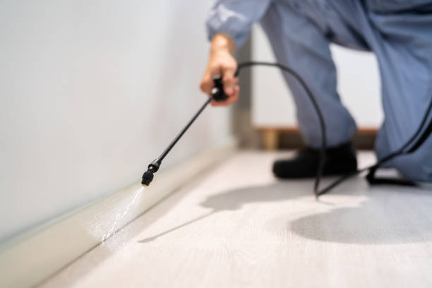 Bed Bug Pre-Treatment Preparation Assessment in Yakima