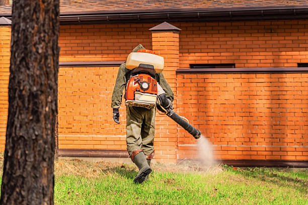 Bed Bug Clearance Verification and Documentation in Yakima